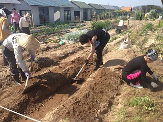 子ども若者が耕す畑 じゅんなま研日記